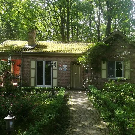 Rainbow Lodge Ursel المظهر الخارجي الصورة